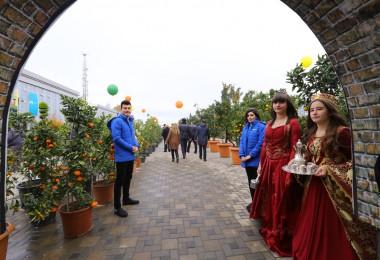 Lənkəranda III Çay, Çəltik, Sitrus Festivalı keçirilib