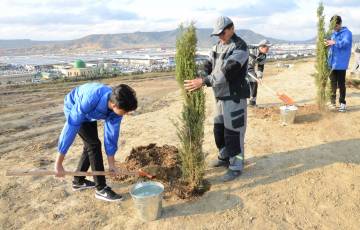 Bakı Şəhər İcra Hakimiyyəti və “Regional İnkişaf” İctimai Birliyinin birgə təşkilatçılığı ilə növbəti ağacəkmə aksiyası keçirilib