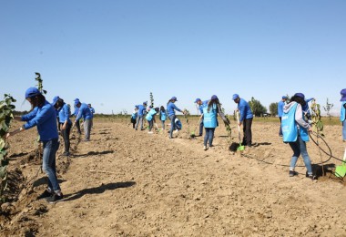 Şəmkirdə aztəminatlı ailələr üçün meyvə bağları salınıb