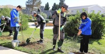 Bakı Şəhər İcra Hakimiyyəti və “Regional İnkişaf” İctimai Birliyinin birgə təşkilatçılığı ilə paytaxtda ağacəkmə aksiyası keçirilib