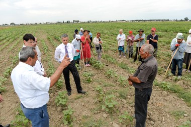 "Regional İnkişaf" İctimai Birliyi Yevlax və Şəkidə sakinlərlə görüşlər keçirib